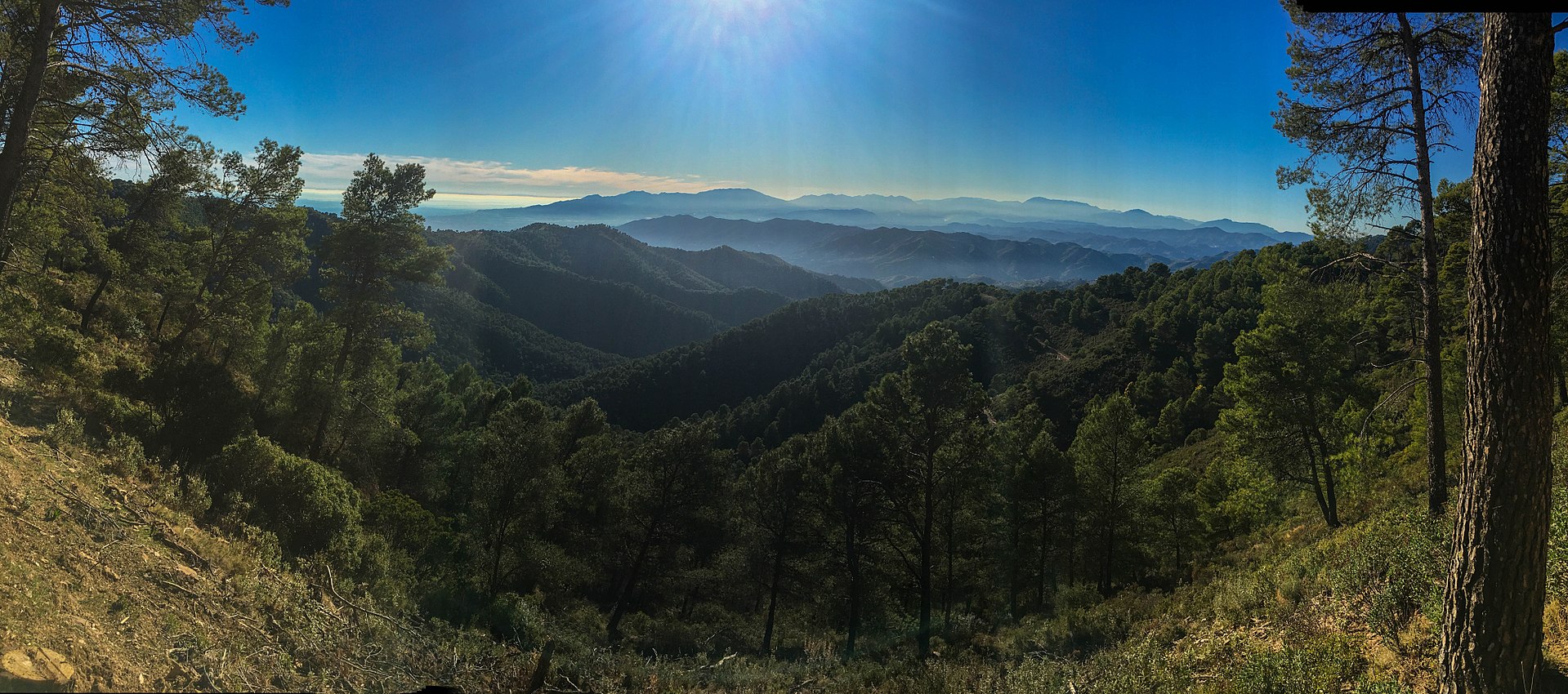 Que ver en malaga provincia, los sitios mas bonitos, montes de malaga