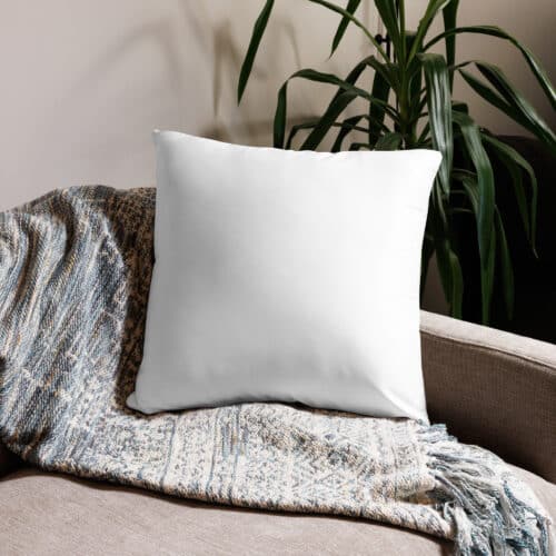 all-over-print-basic-pillow-22×22-back-643c280d70453.jpg